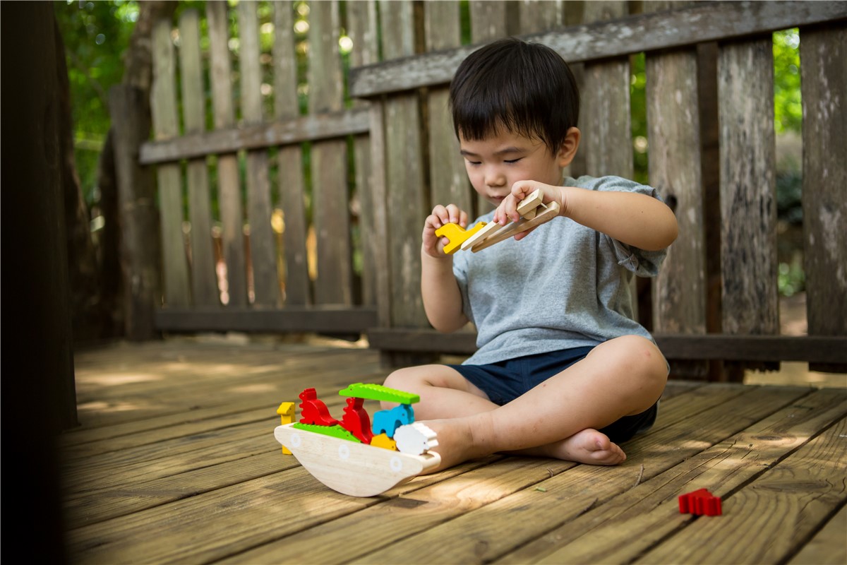 Aguanta-aguanta - Plantoys (Juguetes)